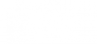 lp website logo white